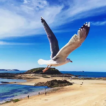 Maison Renovee En Centre-ville, A 5 Min Des Plages